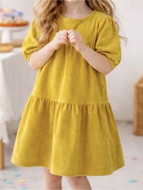 Hanna Andersson Velvet dress